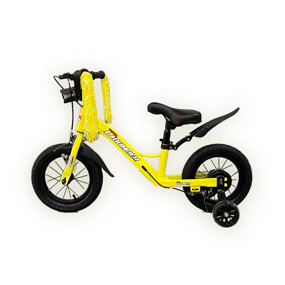 patacleta bici